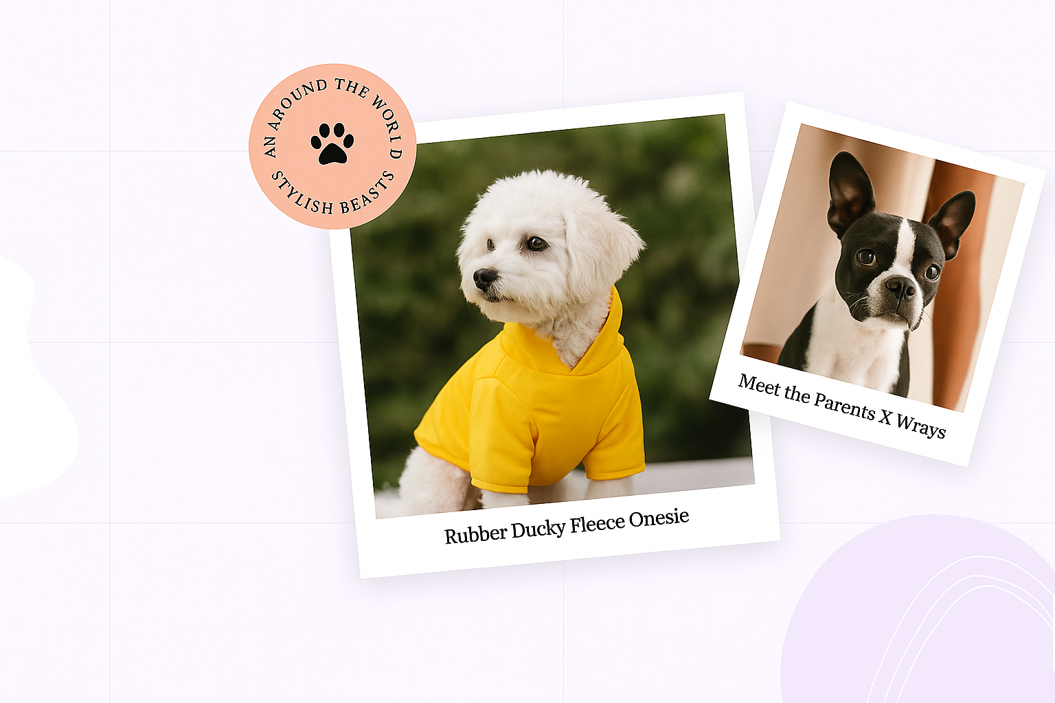 slider image slider_item_XdMycA